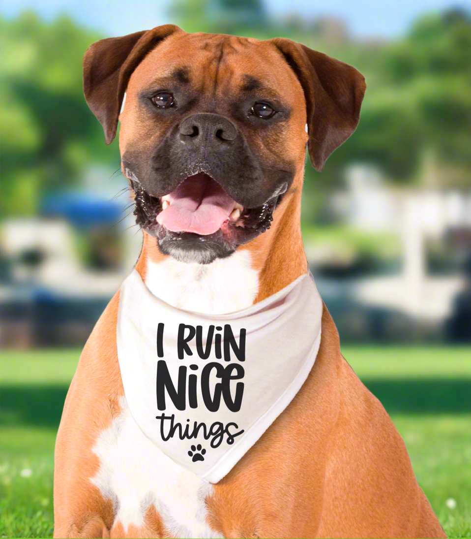 I Ruin Nice Things Pet Bandana