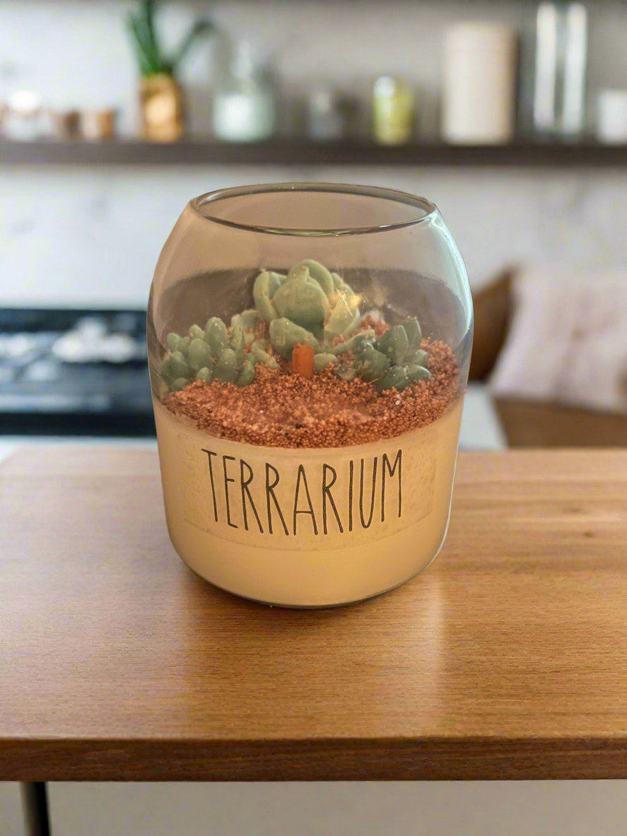 Terrarium Cactus Blossom Scented 15oz Soy Candle