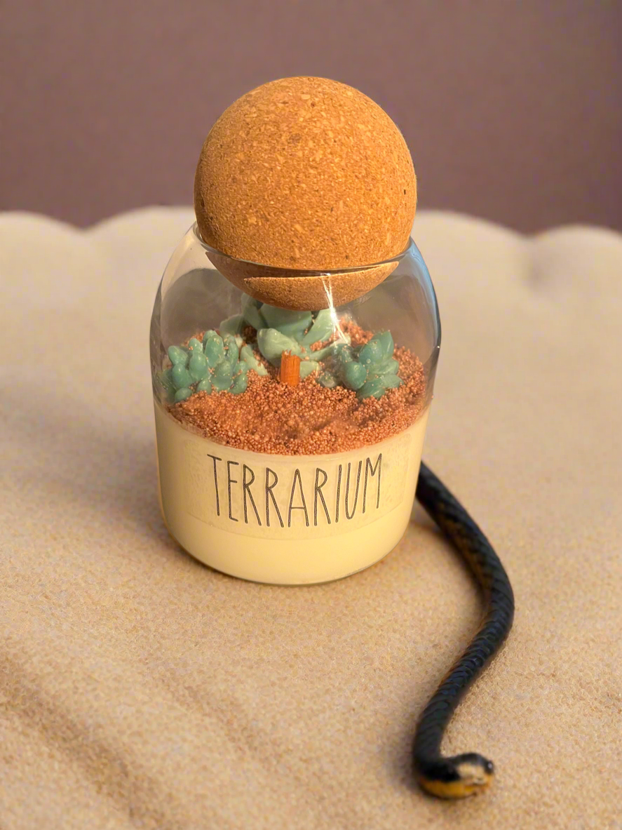 Terrarium Cactus Blossom Scented 15oz Soy Candle